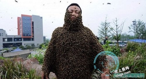 最为千奇百怪的吉尼斯世界纪录
