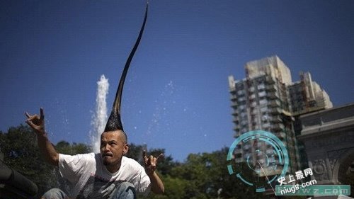 最为千奇百怪的吉尼斯世界纪录