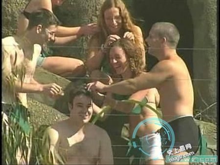 世界十大高智商的动物有什么