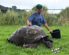 世界最老陆龟184岁的乔纳森(Jonathan)首度洗