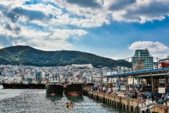 浪漫樱花旅摄技巧分享
