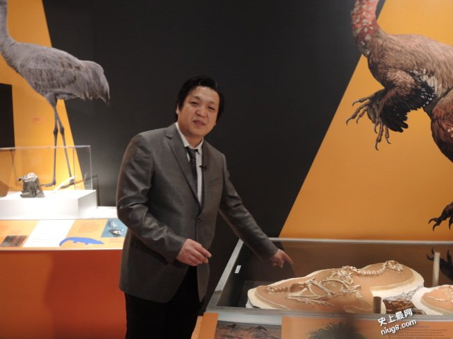 恐龙在身边 自然历史博物馆开展