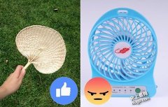 對抗炎夏秘密武器: 迷你葵扇