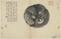 宠物最爱喵星人 明朝宫内设园养动物 ？