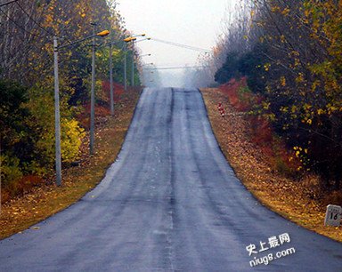 明星乡村爱情片之乡村欲爱合集的那些人和事？