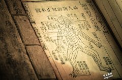 奥运选手爱拔罐 古老的医术疗法成为网民