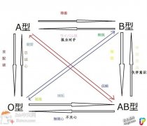 「ABO血型关系图」这是最近日本网友疯传