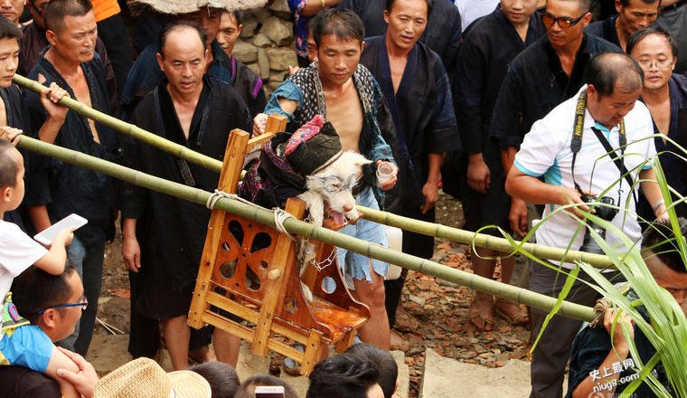 贵州「抬狗节」 向狗感恩倡万物平等
