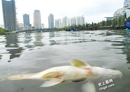 19岁正妹患有「灾难性脚臭」气味还把满池的鲤鱼全都熏死了