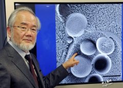 2016诺贝尔生医奖：日本分子细胞生物学家