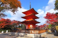 秋天赏枫大全，日本、韩国必访景点搜查