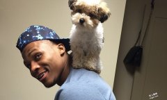 NBA球星奇特宠物盘点　溜马大前锋与巨蟒