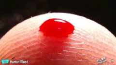 咦？十种世界上最贵的液体？引起网友热