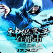神级高手在都市(洛凡小说)全本小说在线