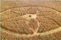 世界各地各式各样的麦田怪圈（图）
