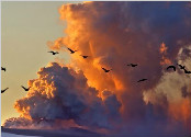 盘点世界各地火山喷发最壮观的景象（图