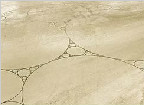 世界上最大的沙地画（图）