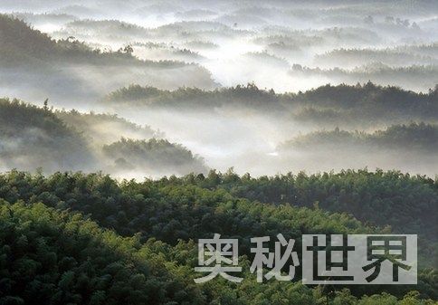 盘点国内10大森林氧吧（图）