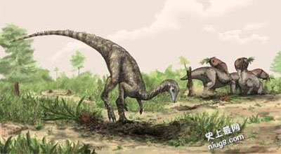 三叠纪是什么？爬行动物裸子植物的崛起