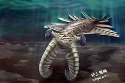 寒武纪是什么时候,古生代的第一个纪