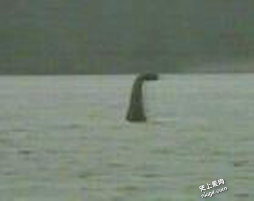 尼斯湖水怪,尼斯湖水怪存在千年之谜