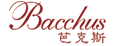 中国酒柜品牌排名，十大企业资料