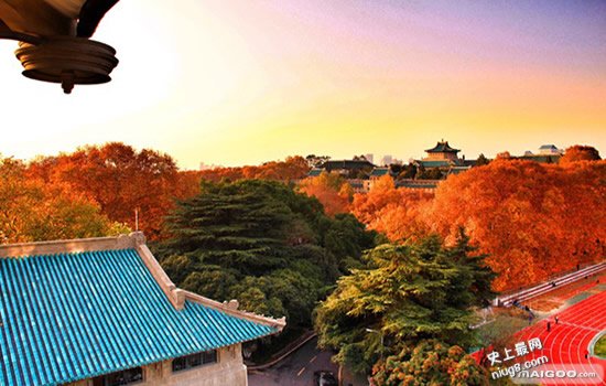 最新中国最美10座大学 你的母校上榜了吗