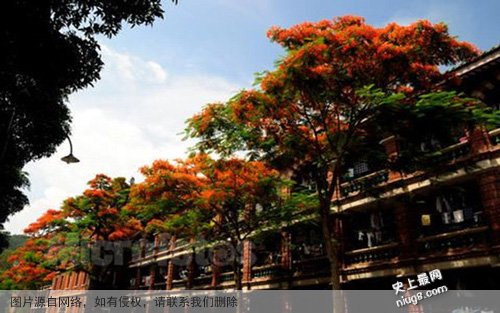 最新中国十大高校最美宿舍 原来别人家的宿舍长