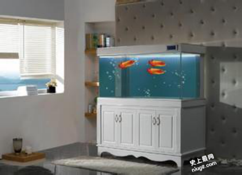 风水鱼缸用什么好？水族箱十大品牌排行榜
