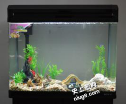 风水鱼缸用什么好？水族箱十大品牌排行榜