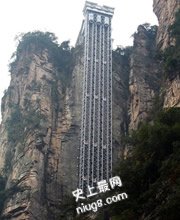 【奇闻趣事】探索神奇世界 神秘趣闻大盘点,