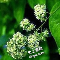 【奇闻趣事】探索神奇世界 神秘趣闻大盘点,