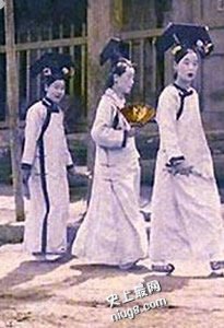 【奇闻趣事】探索神奇世界 神秘趣闻大盘点,