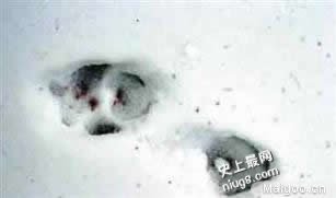 世界十大诡异事件 世界诡异事件之谜,