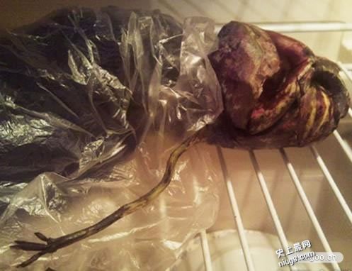 奇闻异事大千世界 世界10大不可思议的奇闻异事