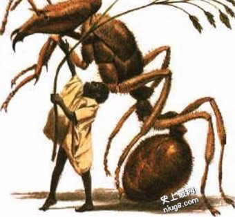震惊世界10大最著名人形怪兽,