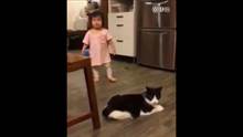 猫咪太调皮怎么办，神来一脚绊倒小女孩