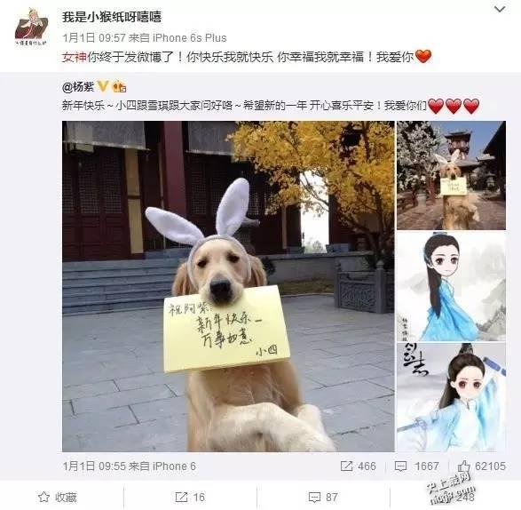杨紫曾被宋丹丹打击没颜值 节目上坦然承认大学